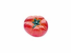 Huge decorative beefsteak tomato