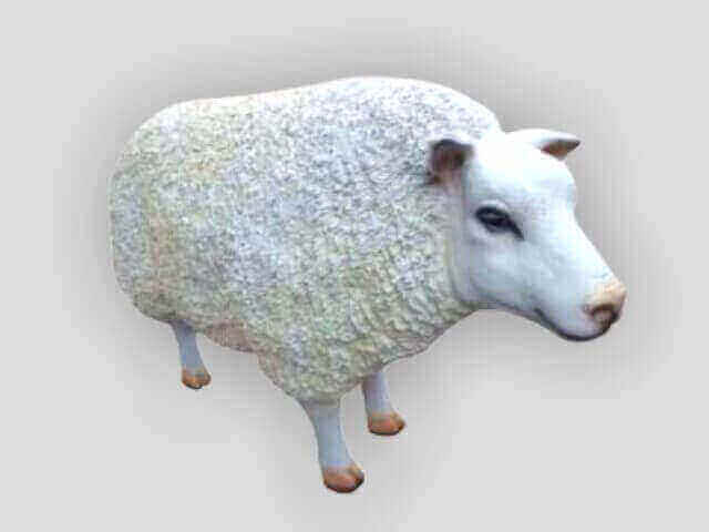 Dickes pummeliges Schaf natürlich
