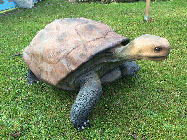 Riesen Schildkröte für die Gartendekoration