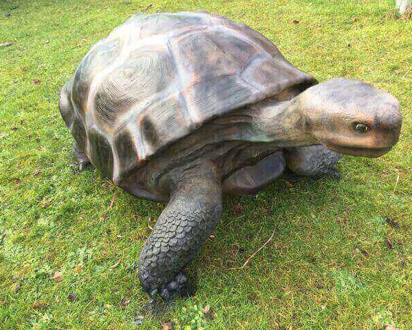 Riesen Deko Schildkröte