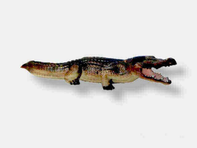 Deko Krokodil