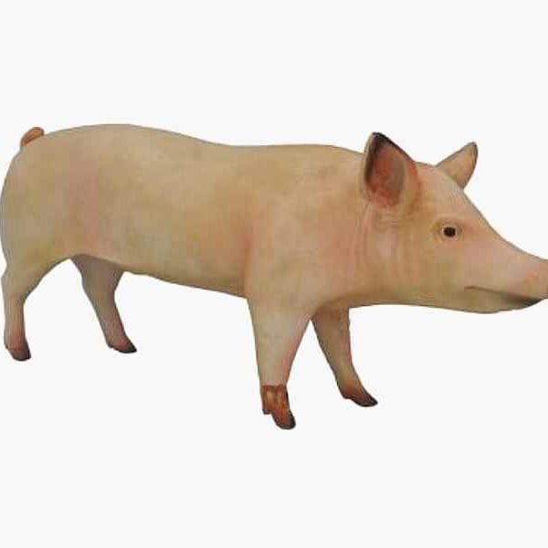 Riesiges Schwein 160 cm lang