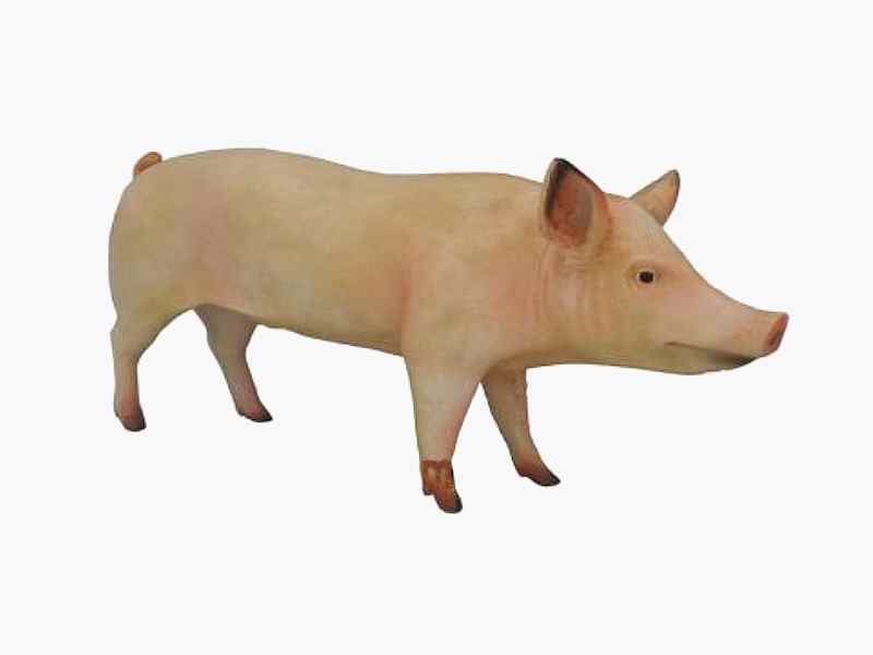 Riesiges Schwein 160 cm lang