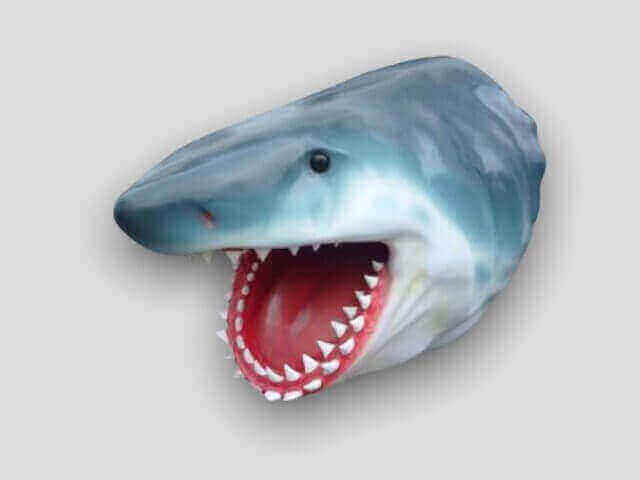 Riesiger Haifischkopf